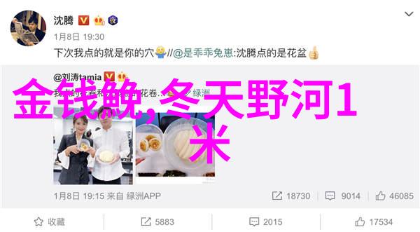 广元嘉陵江用什么饵料钓鲤鱼